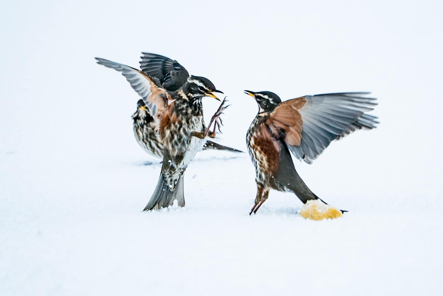 DESIGN THINKING AS A CONFRONTATION TOOL